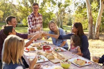 Two families making a toast at picnic at a table in a park