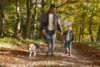 Father And Son Walking Dog In Autumn Woodland Together