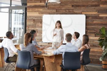Mid adult woman giving a presentation to business colleagues