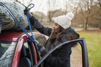 Young woman tying Christmas tree to roof of a car, side view