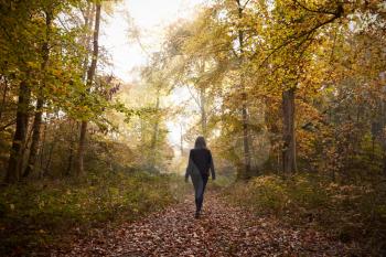 Woman Walking Along Path In Autumn Woodland