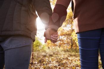 Young Couple Holding Hands On Walk In Autumn Woodland