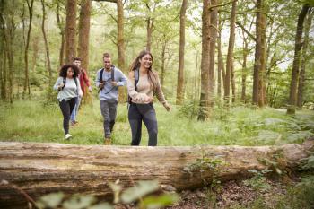 Multi ethnic group of four young adult friends walking in a forest during a hike, front view