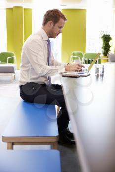 Businessman using laptop in an office meeting area, vertical