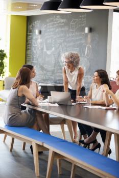 Informal meeting of female work colleagues, vertical