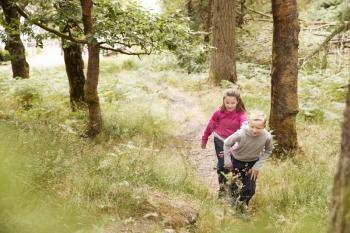 Elevated view of two children hiking up a slope in a forest, selective focus, full length