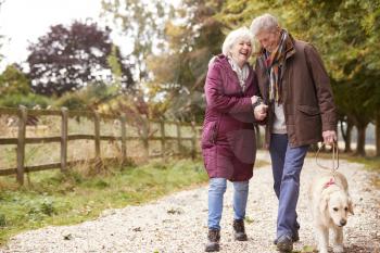 Active Senior Couple On Autumn Walk With Dog On Path Through Countryside