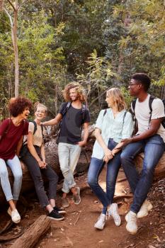 Young adult friends hiking in a forest resting on a fallen tree, full length, vertical