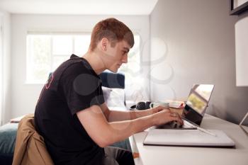 Male College Student In Shared House Bedroom Studying Sitting At Desk