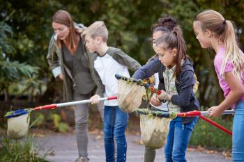 Adult Team Leader Shows Group Of Children On Outdoor Activity Camp How To Catch And Study Pond Life