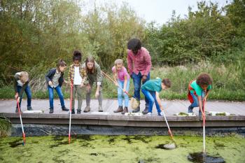 Adult Team Leaders Show Group Of Children On Outdoor Activity Camp How To Catch And Study Pond Life