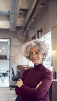Head And Shoulders Portrait Of Mature Businesswoman  Working In Modern Office