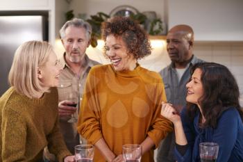 Group Of Mature Friends Meeting At Home And Drinking Wine Together