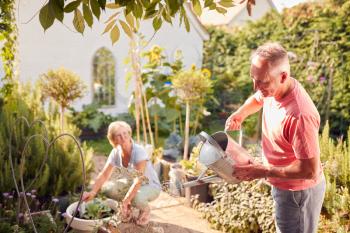 Retired Couple At Work Watering And Caring For Plants In Garden At Home