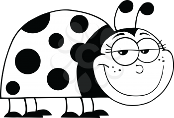 Coccinellidae Clipart