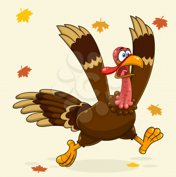 Poultry Clipart