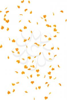 Royalty Free Clipart Image of an Autumn Leaf Background