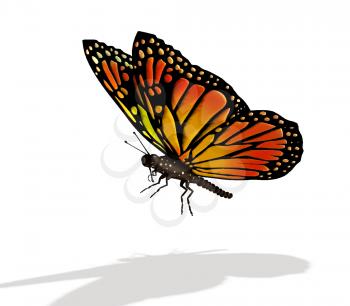 Royalty Free Clipart Image of a Monarch Butterfly