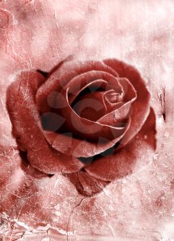 Grunge style rose background