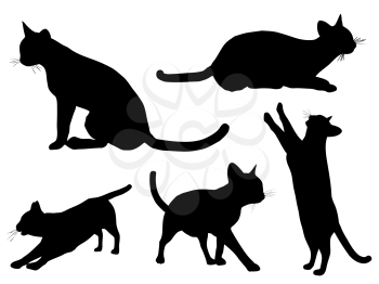 Silhouettes of cats