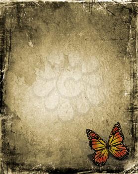Butterfly on grunge background