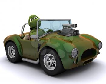 3d render of a tortoise driving a car