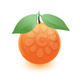 Royalty Free Clipart Image of an Orange