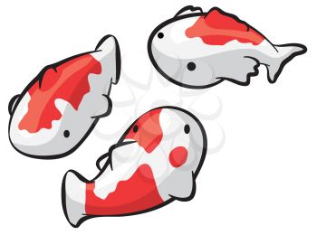 Royalty Free Clipart Image of Red and White Fish