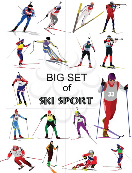 Big set of Ski sport colored silhouettes. Vector illustration