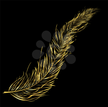 Golden feather floating over black background