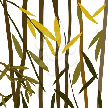 Willow leaves over a white background