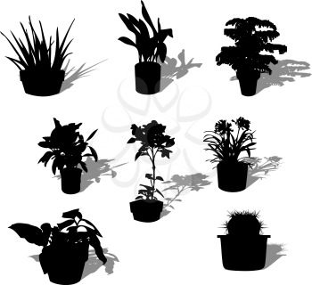Potted plant silhouettes and reflection over white background