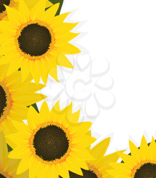 Sunflower corner design with copy space