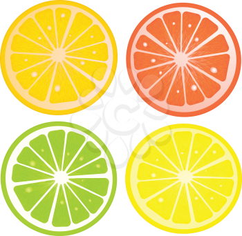 Various citric slices against white background