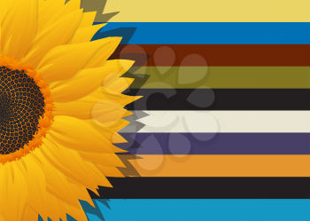Sunflower abstract card