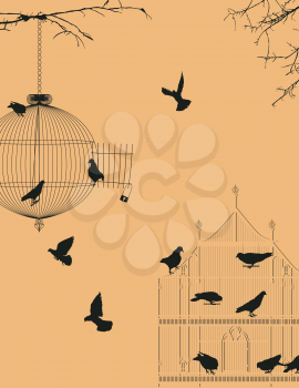 Birds and birdcages postcard design