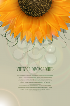Sunflower vintage card design with copy space