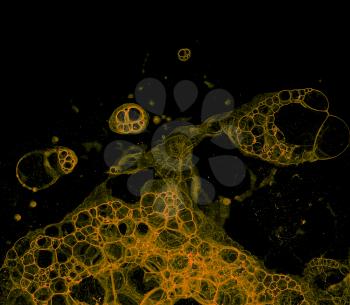 Abstract grunge cellular background against black background