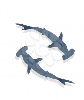 Watercolor hammerhead shark over white background