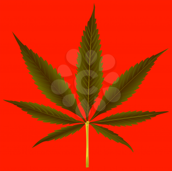 cannabis leaf against orange background, abstract vector art illustration