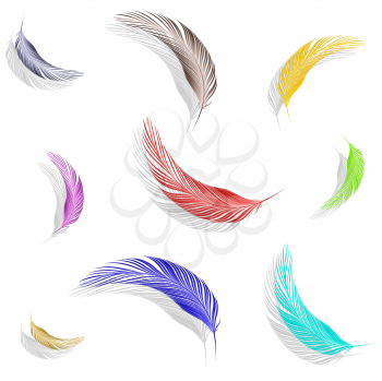 colored feathers collection against white background, abstract vector art illustration