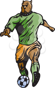 Soccer Clipart