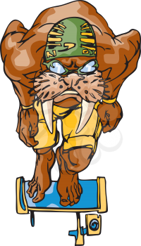 Walrus Clipart