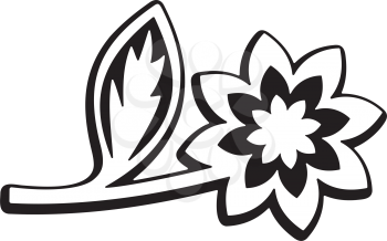 Daisy Clipart