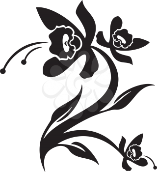 Orchid Clipart
