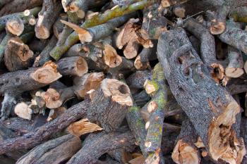 Royalty Free Photo of Firewood