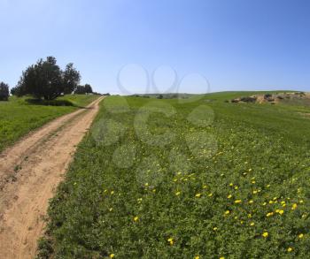 Royalty Free Photo of a Road Through a Field