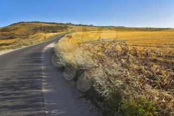 Royalty Free Photo of a Road by a Field