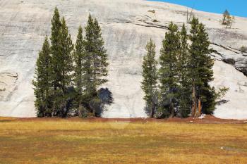 Fields and mountains in Yosemite national park