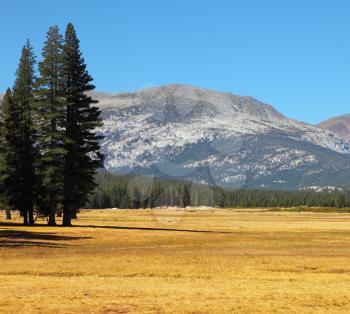 Fields and mountains in Yosemite national park